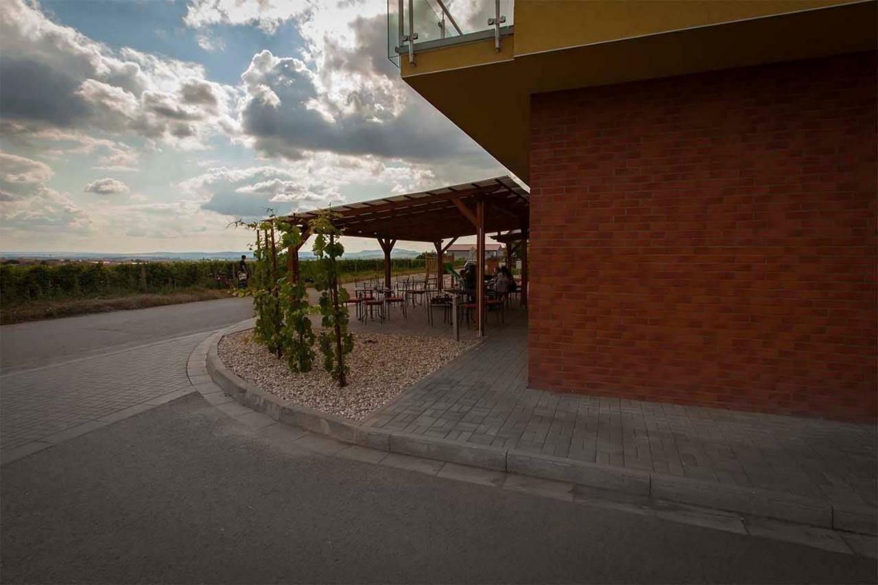 Rodinne Vinarstvi Skoupil Velké Bílovice 外观 照片